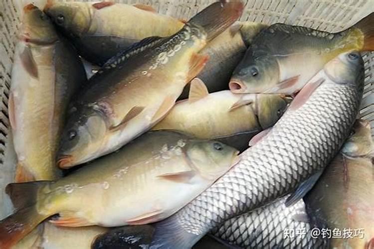 什么药水可以让石头腐蚀？腐蚀到很烂很烂那样。表皮用手指甲就能叩出百...