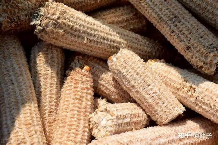 我想了解一下有关于生物颗粒方面的问题