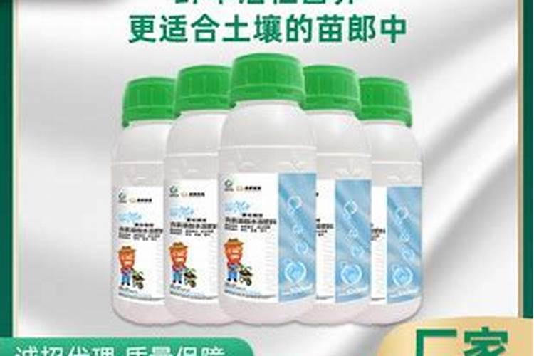 刚栽的草莓多久打老叶子？