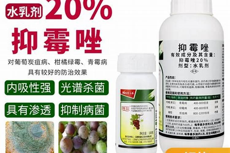葡萄树怕什么农药
