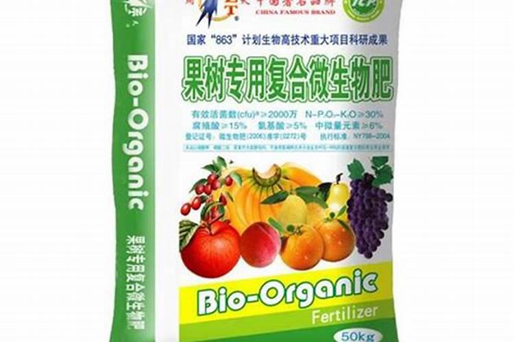 长果桑盆栽方法 养护事项有哪些