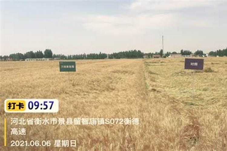 作物重茬怎么解决