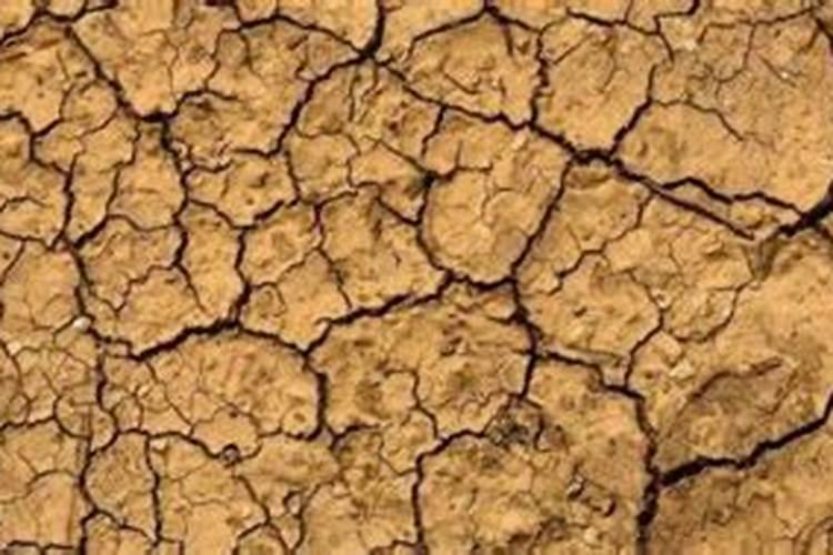 给土地施草木灰是什么肥料