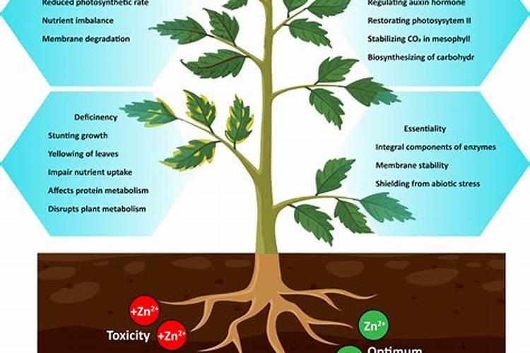 中性硅酮密封胶 有毒吗