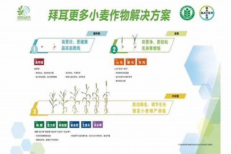 方向盘噻虫高氯氟能和拜耳沃生中量元素水溶肥一起使用吗？