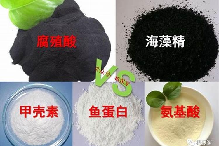 鱼蛋白和海藻精哪种好