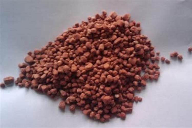 种豌豆需要浇水吗