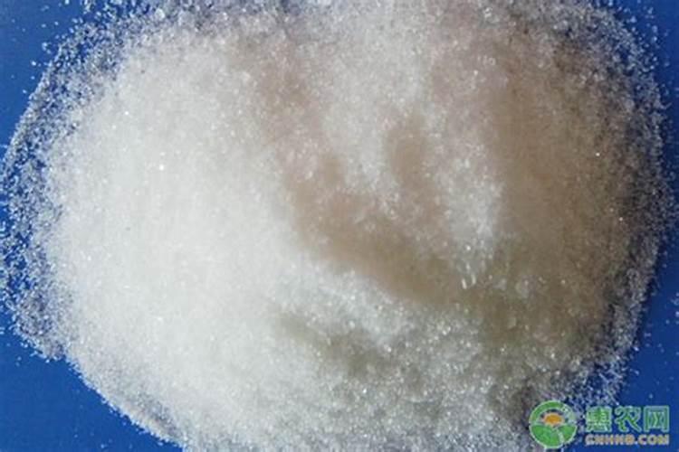 叶面肥磷酸二氢钾使用方法和使用的时候注意事项