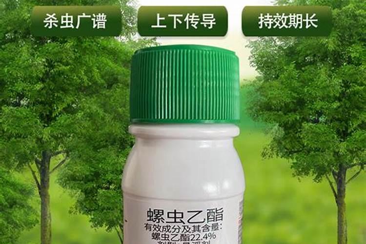 什么与锐收果香搭配可收获最佳成效？