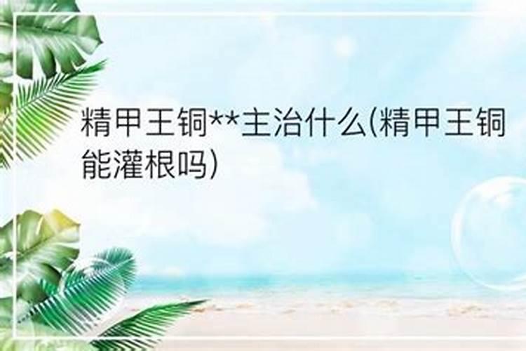 西红柿得了这些问题应该怎么用药