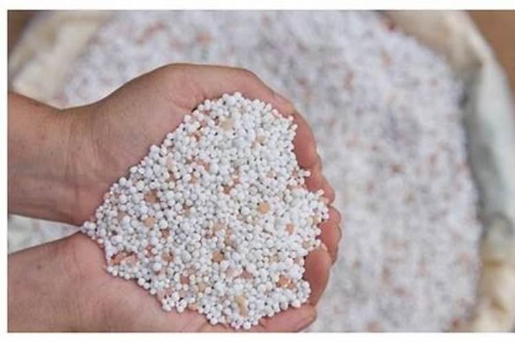 种油菜籽用什么肥料