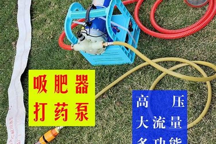 大棚葡萄温度与施肥