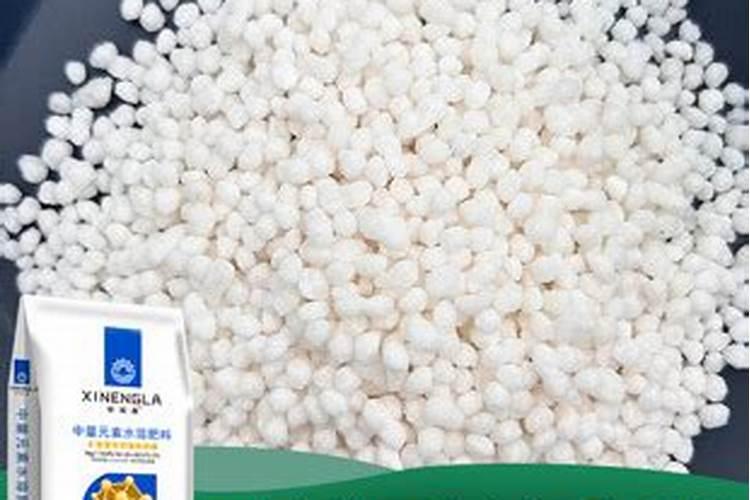 你听过地参吗？ 听过的感觉怎么样 价格一般在多少