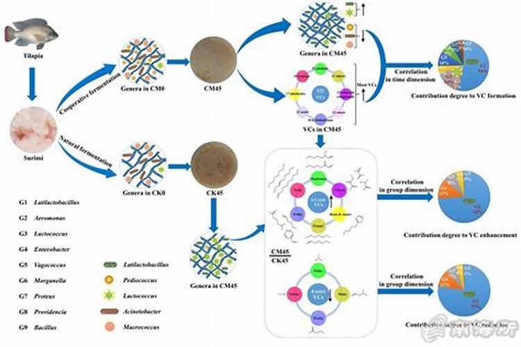 发酵好的鱼蛋白怎样保存不会坏
