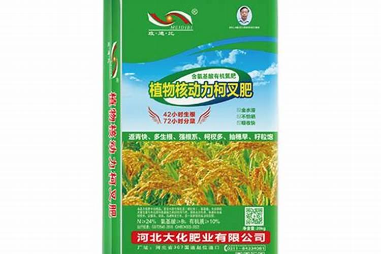 铁兰怎么施肥？