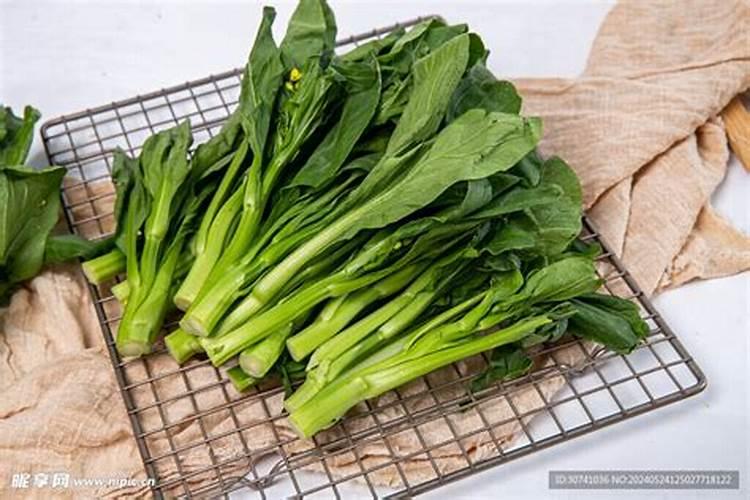 ...白菜,瓢儿菜,菜心等蔬菜,要用什么叶面肥,什么药治虫,治各种疾病百 ...