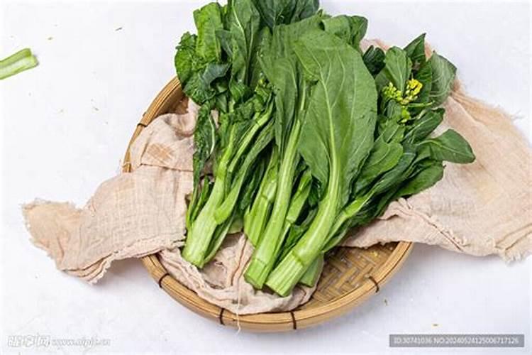 ...白菜,瓢儿菜,菜心等蔬菜,要用什么叶面肥,什么药治虫,治各种疾病百 ...