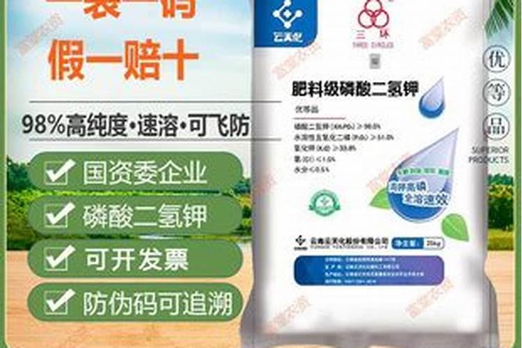 如何养好小金鱼？