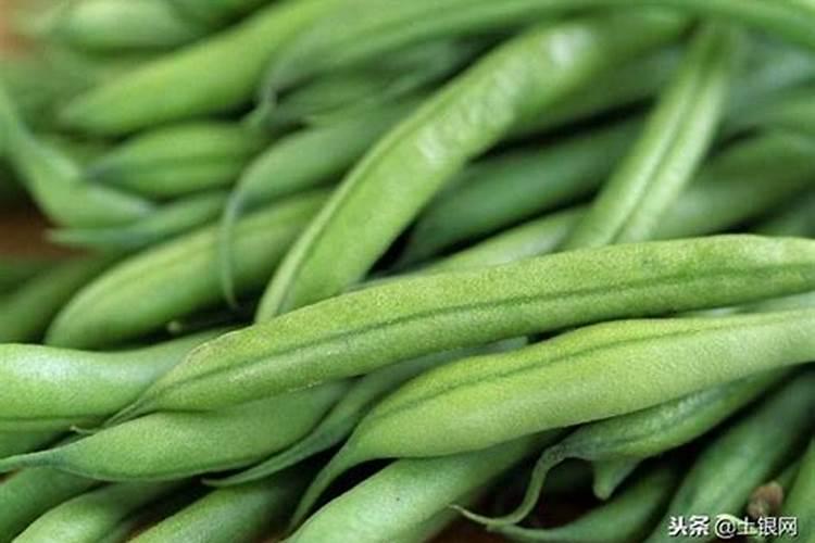 豆角开花结荚期施什么肥水好