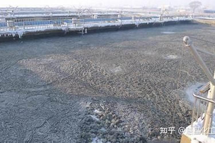 葡萄硬核期的施肥管理