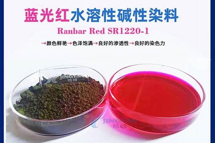 有没有认识这是什么植物？