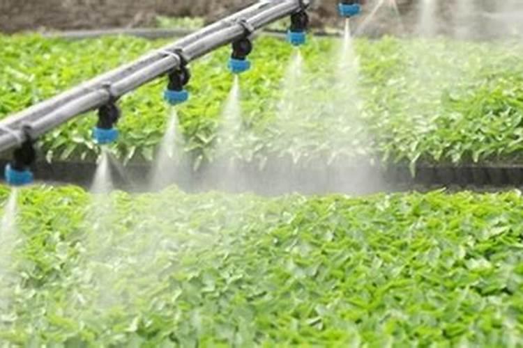 水溶肥是否就是冲施肥？如何鉴别水溶肥的质量？