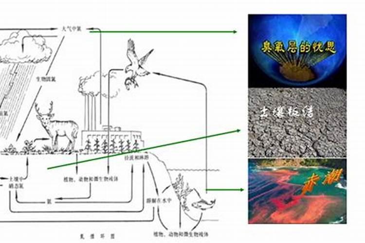 如何让蔬菜远离化肥污染