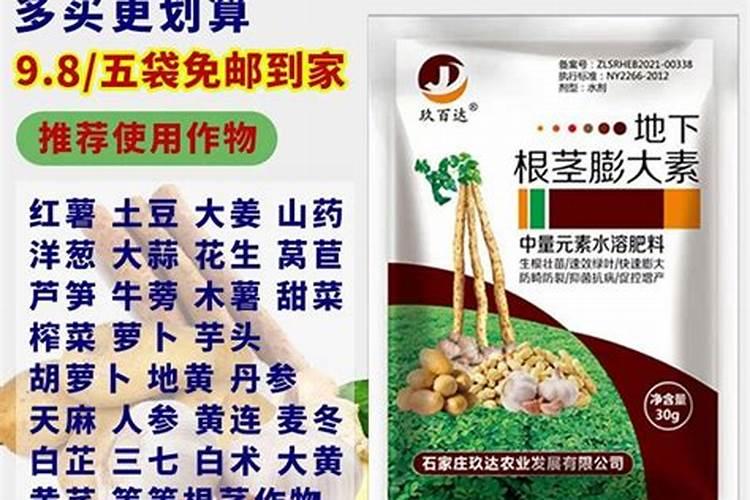 中药材牛膝追肥用什么肥料好？中药材牛膝壮根根茎块膨大？