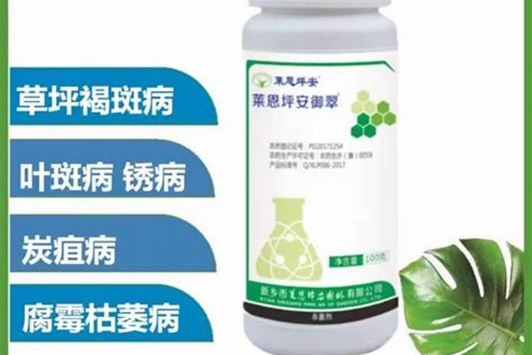 草莓打白粉杀菌剂加碧护