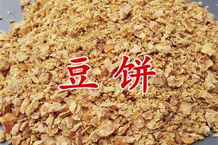饲料里的鱼粉可以完全代替豆粕吗
