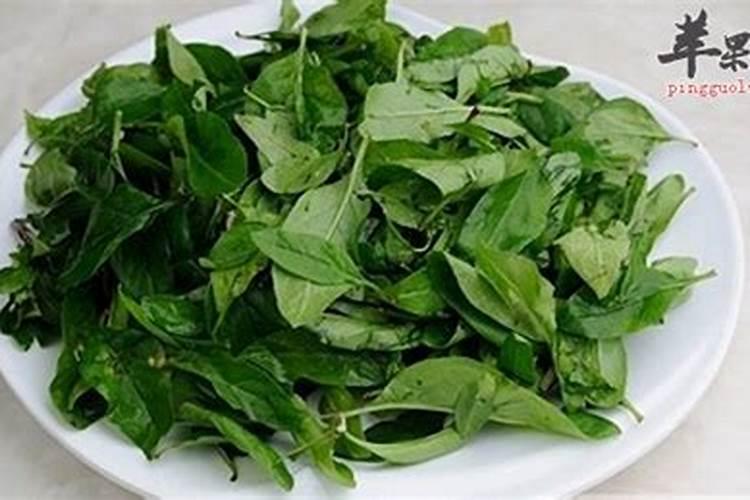 枸杞用什么肥料最好 ？枸杞打什么叶面肥好？枸杞生根用什么肥料好