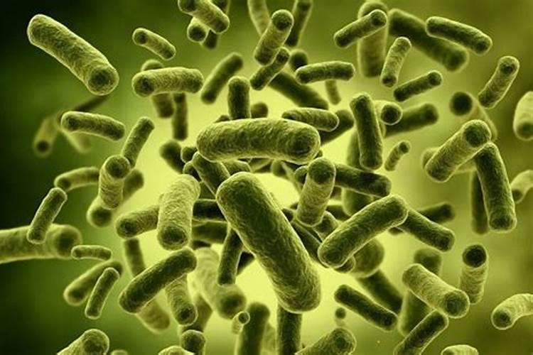 池塘水发黑快速处理方法 都有什么办法可以解决