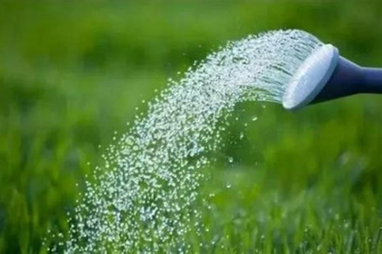 磷肥不能和什么肥混施