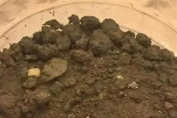 豆子煮熟后怎样发酵才能当肥料可以当花肥吗