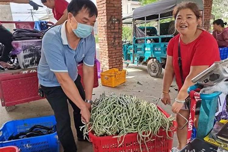 豇豆苗可以早上施肥吗？