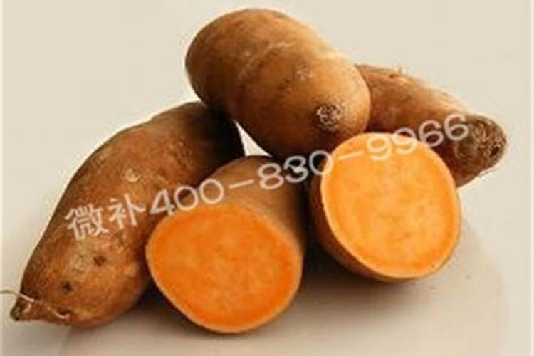 种番薯用什么肥料最好