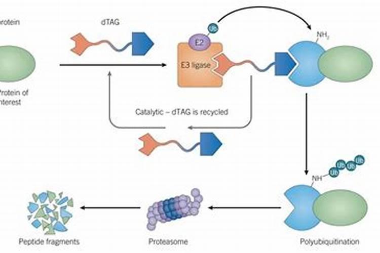 PASP:绿色高效的新型水溶肥增效剂