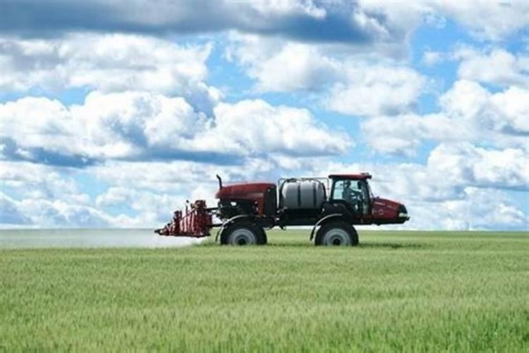 毒死蜱可以和多菌灵混一起打桂花吗？