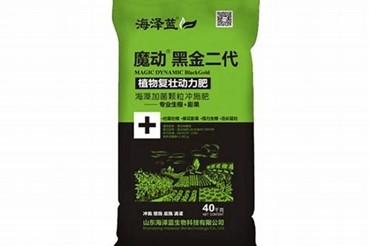 网红植物:各种各样的蔓绿绒及其养护技巧