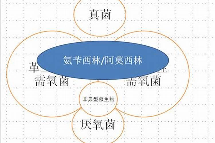 小葱用什么叶面肥好？