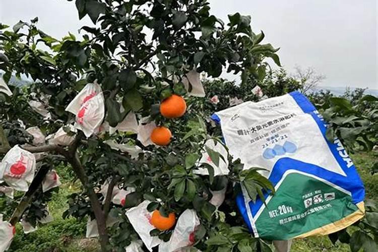 宜宾高县适合种柑橘爱媛38号吗？