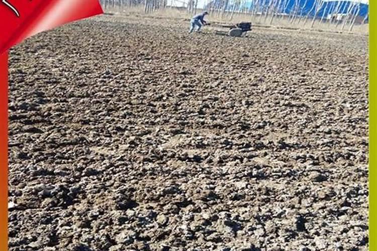 山东叶咖农业化学有限公司怎么样？