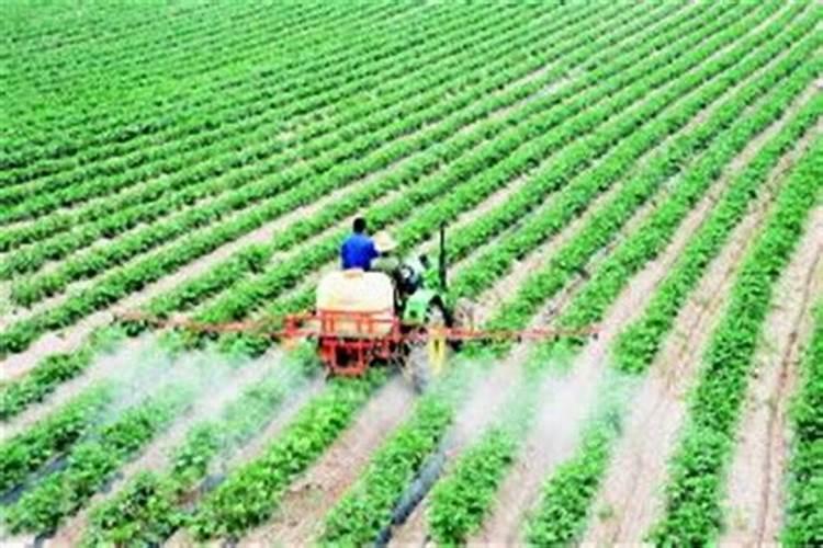 磷酸二氢钾叶面肥作用