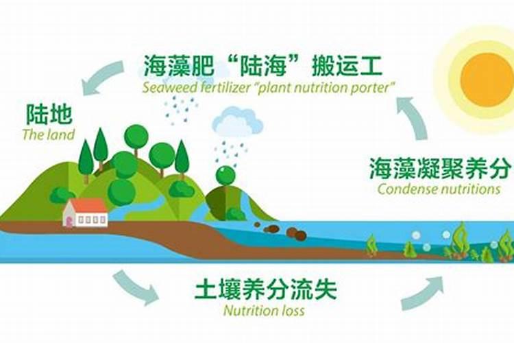 明月海藻肥,有哪些功效？