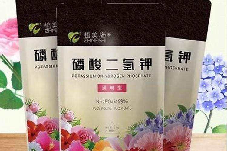 茉莉花可以用磷酸二氢钾吗 茉莉花可以用磷酸二氢钾施肥吗