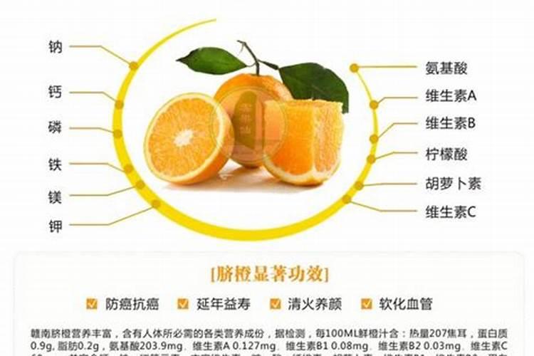 脐橙不能和什么一起吃