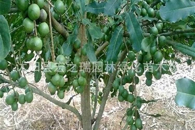 在下列四种化肥中,属于钾肥的是( )A.KOHB.K2CO3C..Ca(NO3...