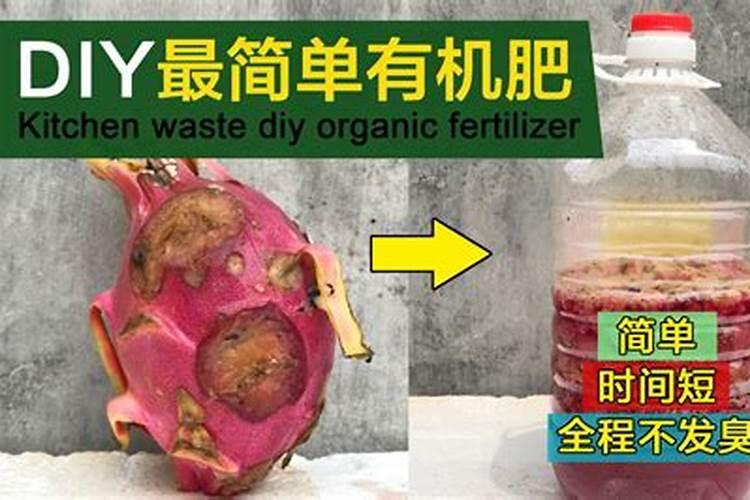 新入手月季小苗冬季需要休眠吗(月季冬季养护要注意什么)