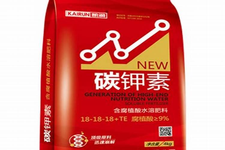 栀子花怎么养护