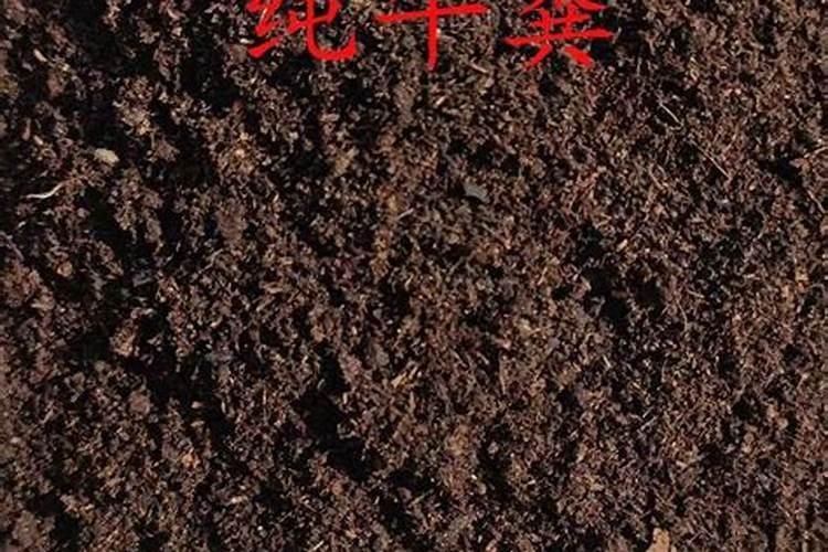 什么肥料能让土质松软